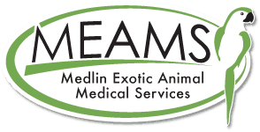 Medlin exotic animal cheap medical services