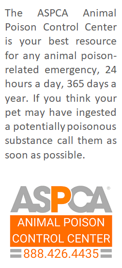 ASPCA Hotline